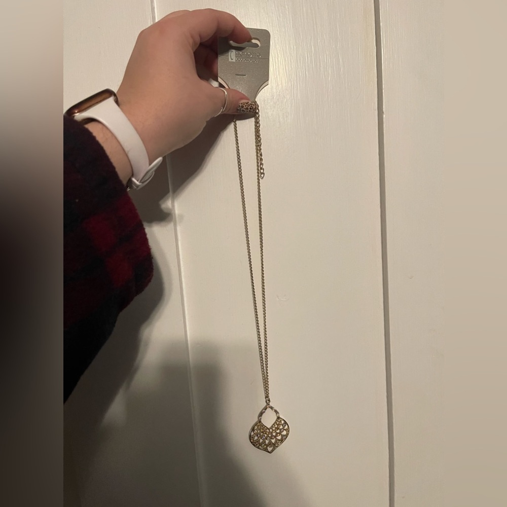 Brand new long chained necklace
